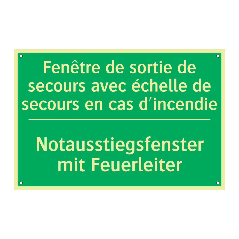 Notausstiegsfenster mit Feuerleiter /.../ - Fenêtre de sortie de secours avec /.../