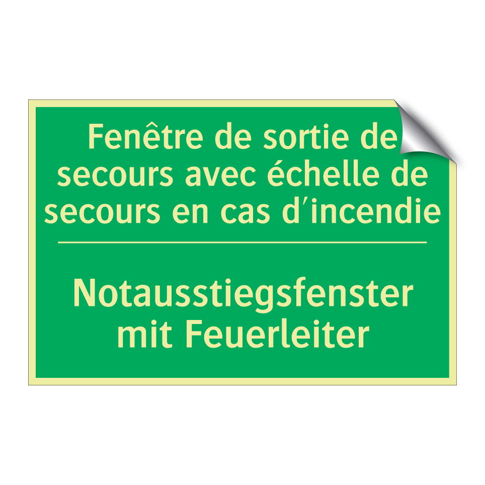 Notausstiegsfenster mit Feuerleiter /.../ - Fenêtre de sortie de secours avec /.../