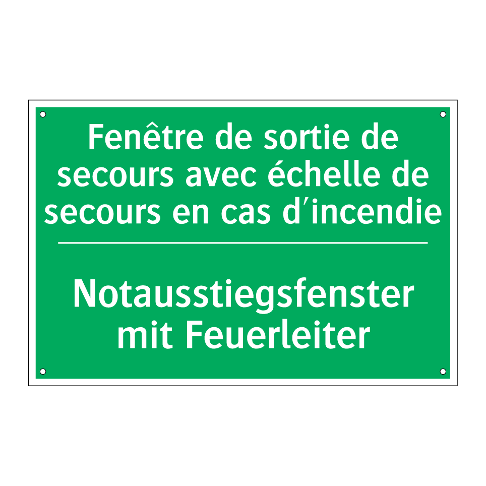 Notausstiegsfenster mit Feuerleiter /.../ - Fenêtre de sortie de secours avec /.../
