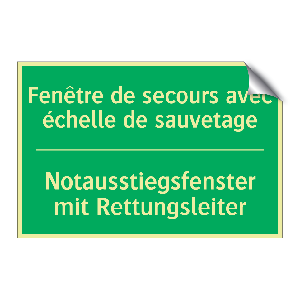 Notausstiegsfenster mit Rettungsleiter /.../ - Fenêtre de secours avec échelle /.../