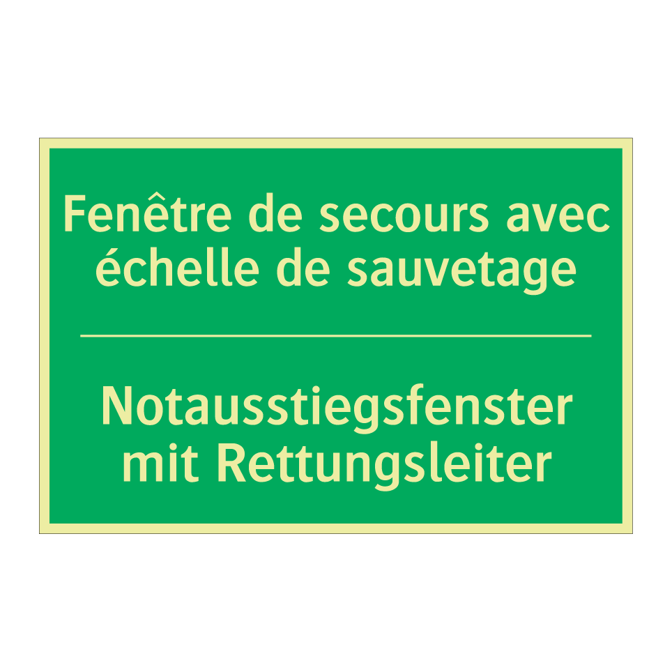 Notausstiegsfenster mit Rettungsleiter /.../ - Fenêtre de secours avec échelle /.../
