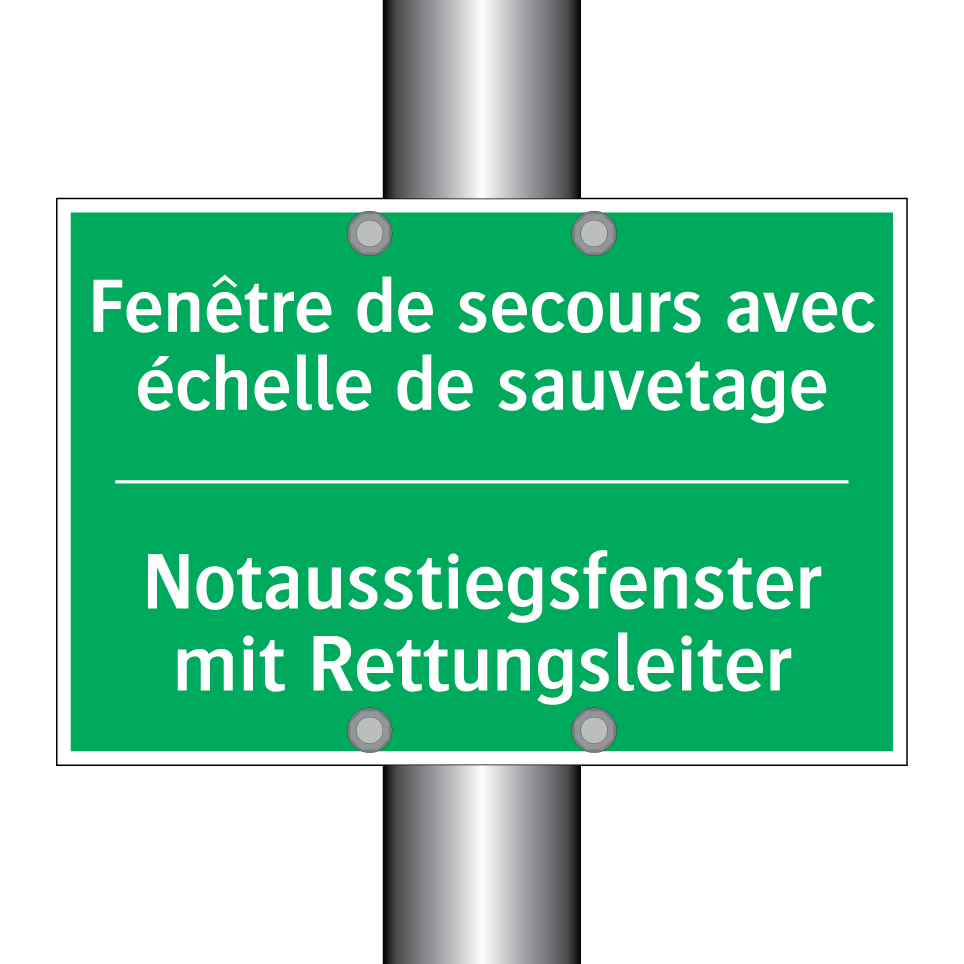 Notausstiegsfenster mit Rettungsleiter /.../ - Fenêtre de secours avec échelle /.../