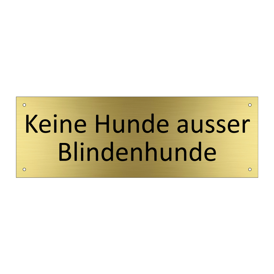 Keine Hunde ausser Blindenhunde