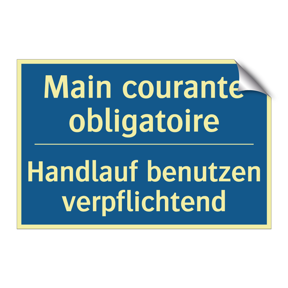Handlauf benutzen verpflichtend /.../ - Main courante obligatoire