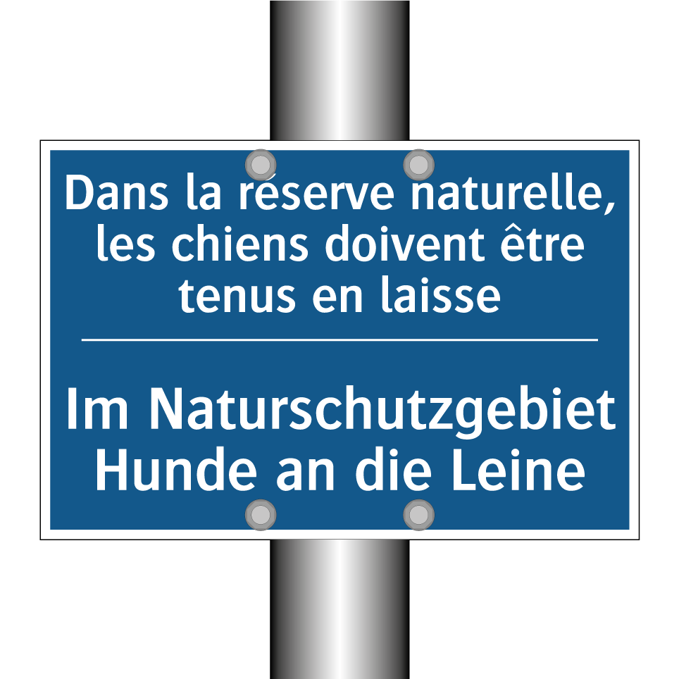 Im Naturschutzgebiet Hunde an /.../ - Dans la réserve naturelle, les /.../