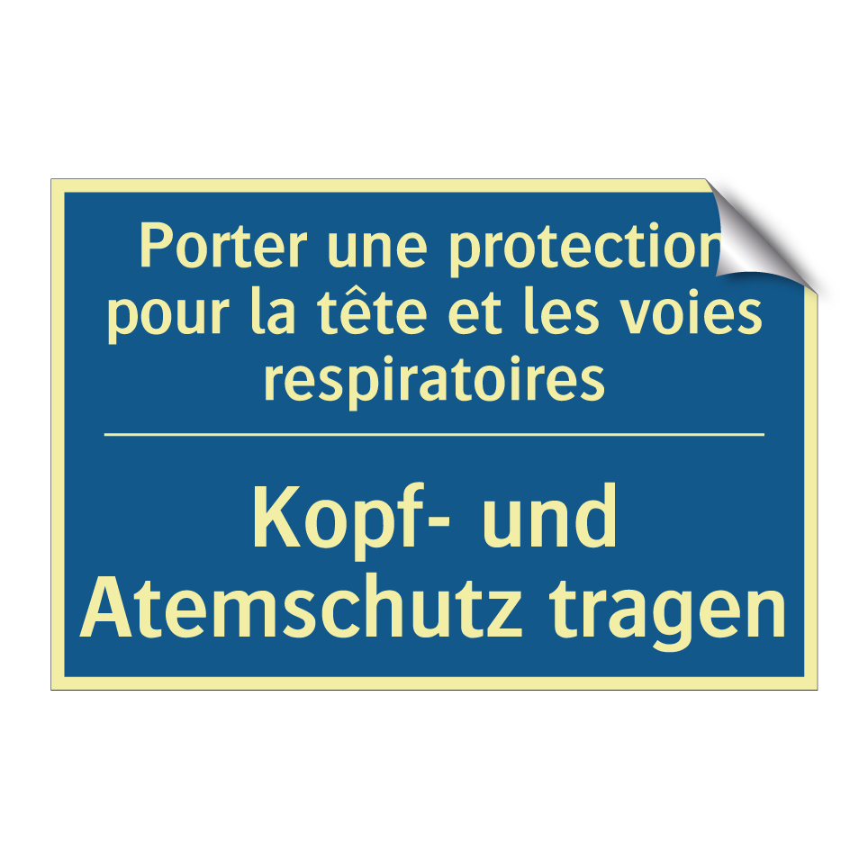 Kopf- und Atemschutz tragen - Porter une protection pour la /.../