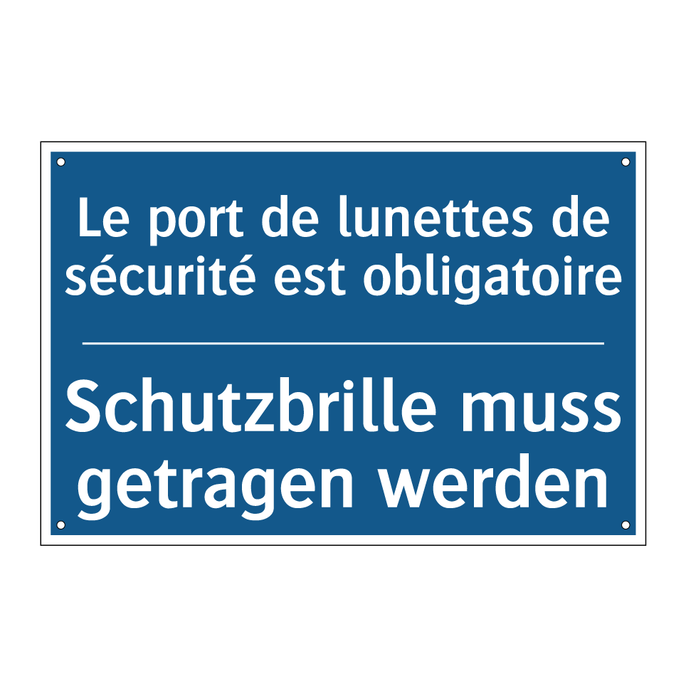 Schutzbrille muss getragen werden /.../ - Le port de lunettes de sécurité /.../