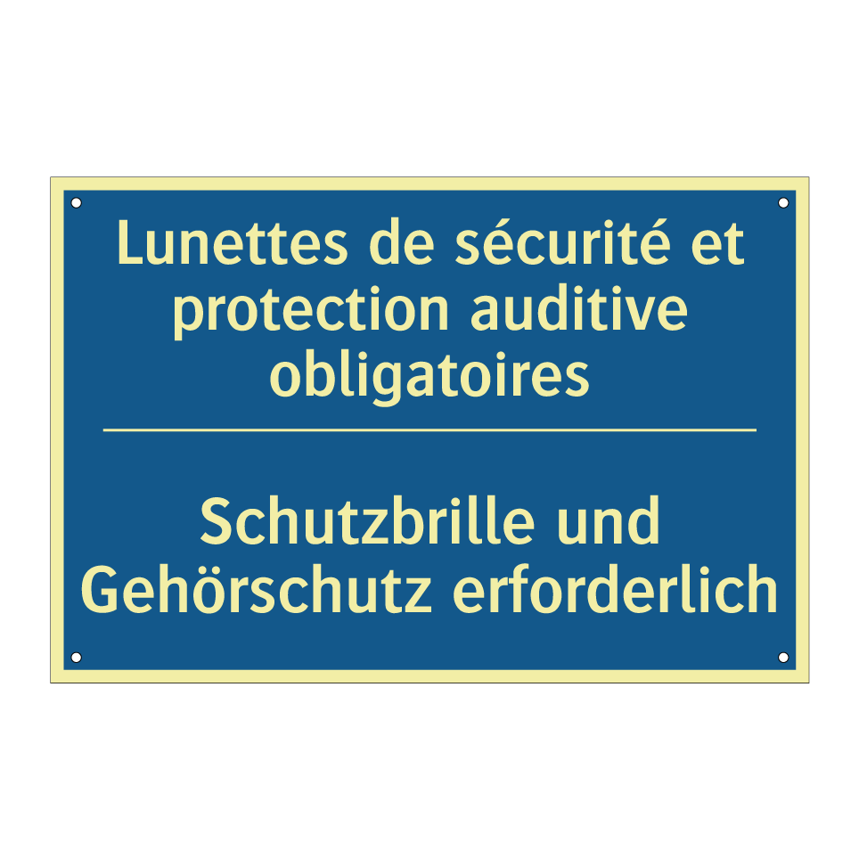 Schutzbrille und Gehörschutz erforderlich /.../ - Lunettes de sécurité et protection /.../