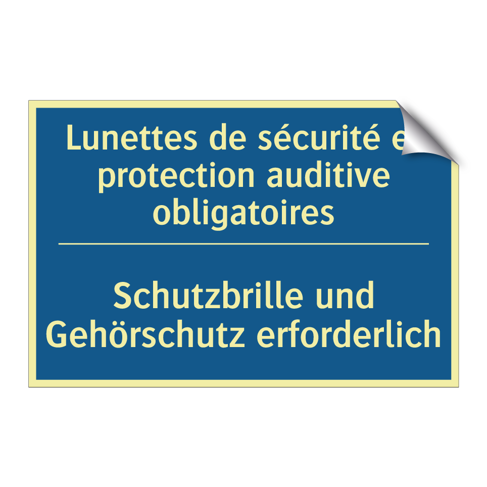 Schutzbrille und Gehörschutz erforderlich /.../ - Lunettes de sécurité et protection /.../