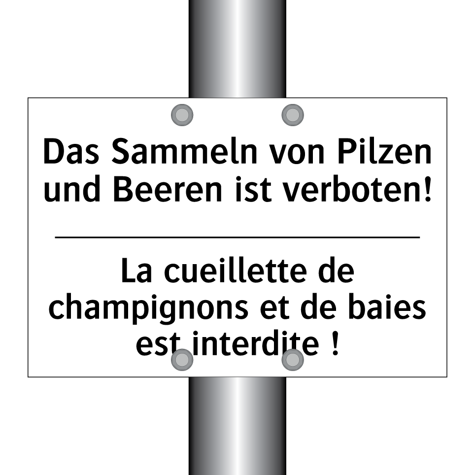 Das Sammeln von Pilzen und Beeren /.../ - La cueillette de champignons et /.../