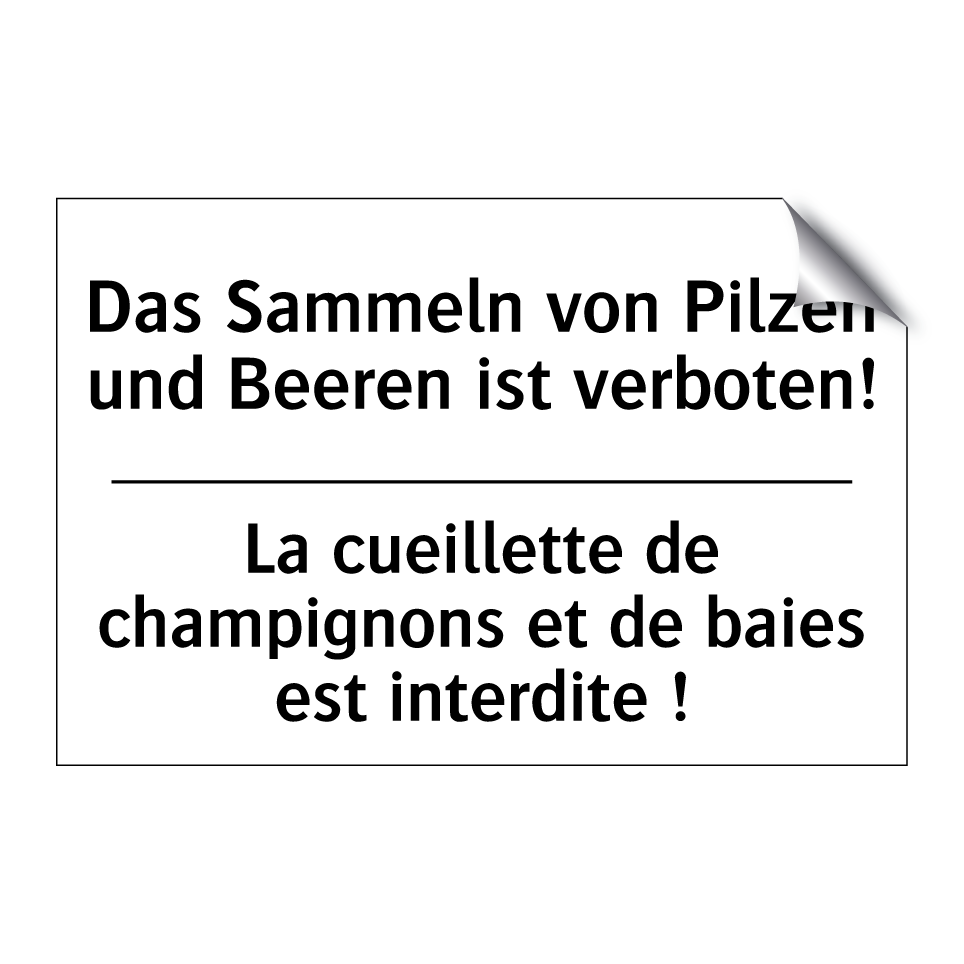 Das Sammeln von Pilzen und Beeren /.../ - La cueillette de champignons et /.../