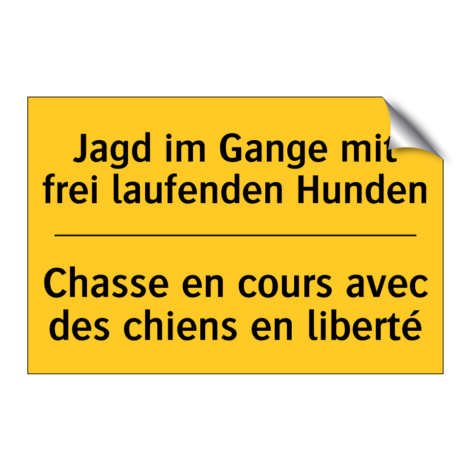 Jagd im Gange mit frei laufenden /.../ - Chasse en cours avec des chiens /.../