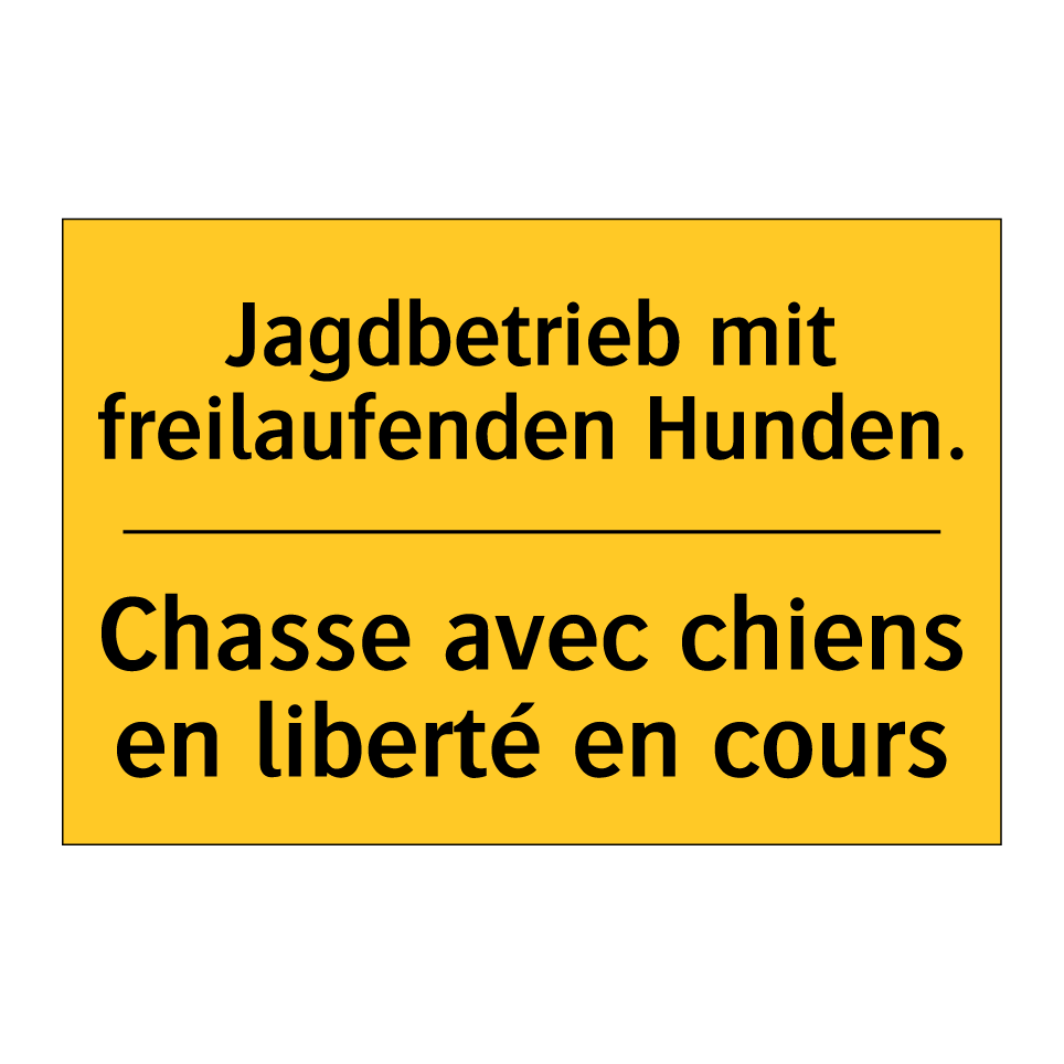 Jagdbetrieb mit freilaufenden /.../ - Chasse avec chiens en liberté /.../