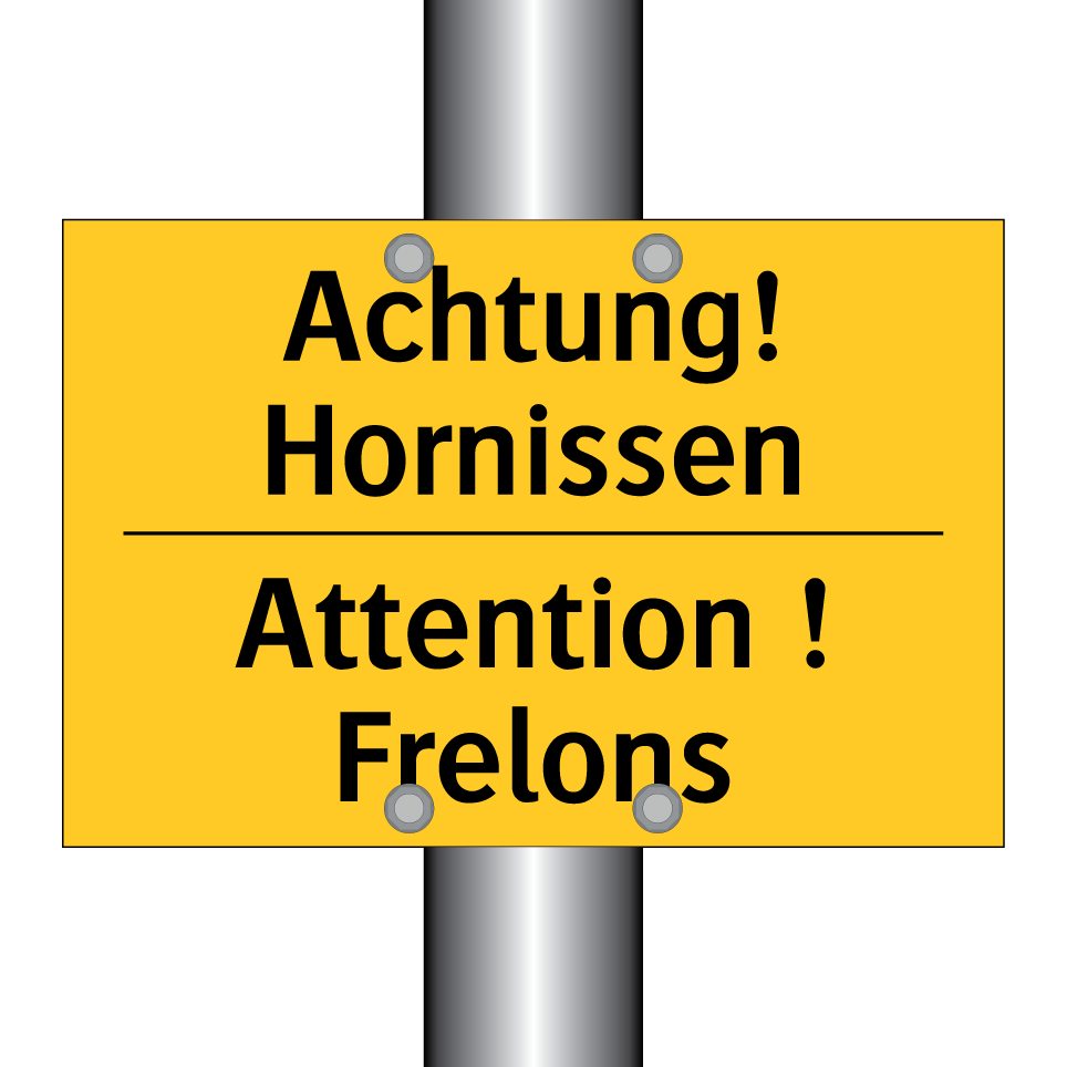 Achtung! Hornissen - Attention ! Frelons