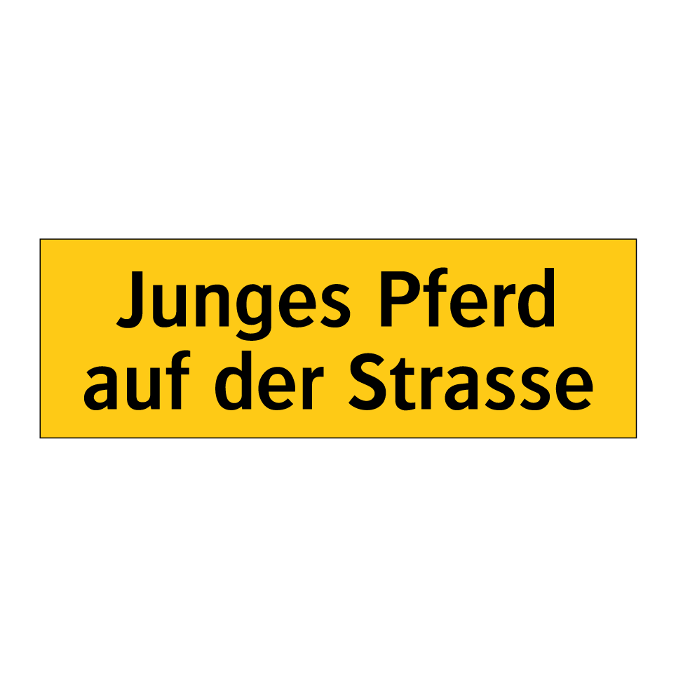 Junges Pferd auf der Strasse