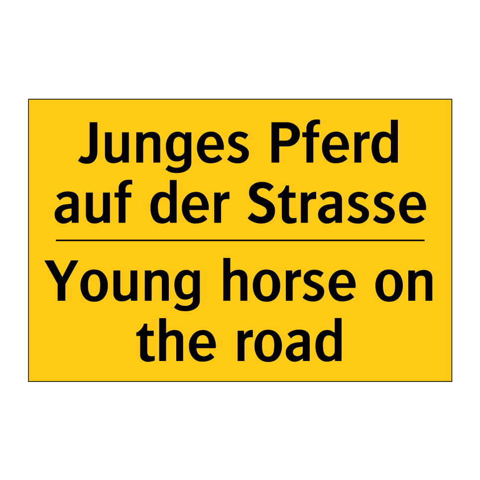 Junges Pferd auf der Strasse - Young horse on the road