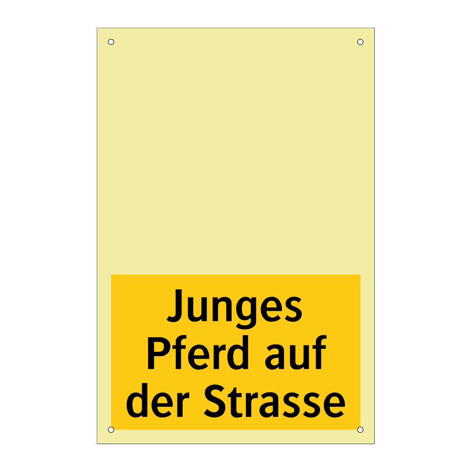 Junges Pferd auf der Strasse