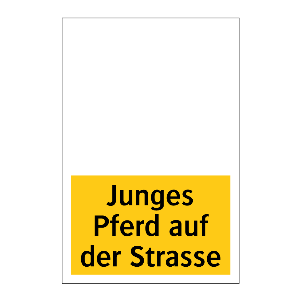 Junges Pferd auf der Strasse