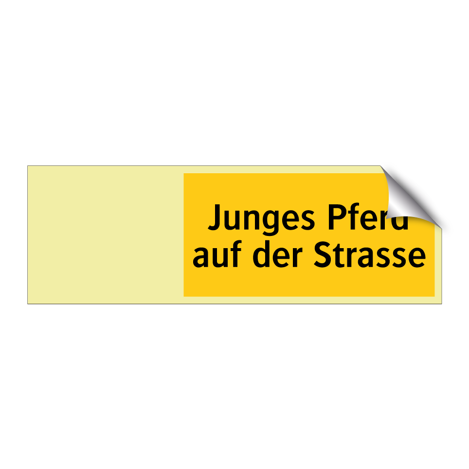 Junges Pferd auf der Strasse
