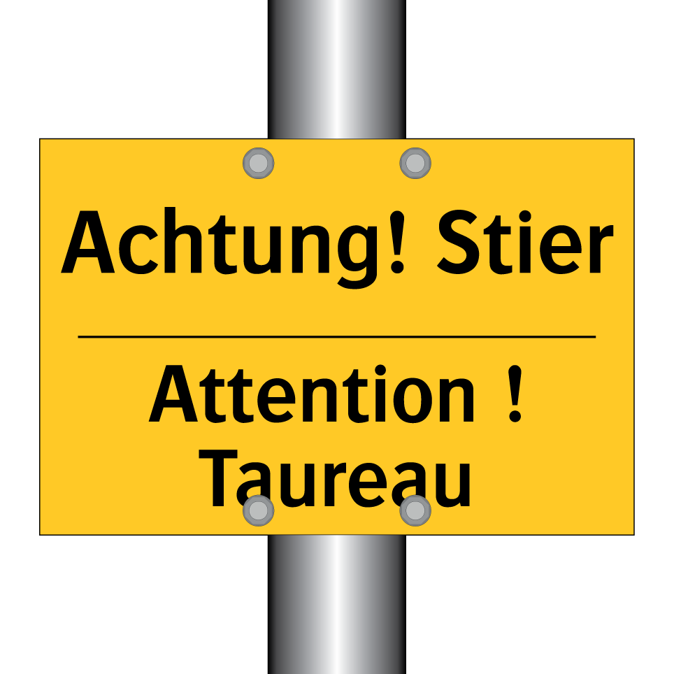 Achtung! Stier - Attention ! Taureau