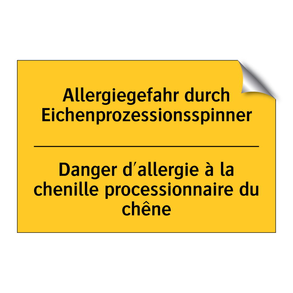 Allergiegefahr durch Eichenprozessionsspinner /.../ - Danger d'allergie à la chenille /.../