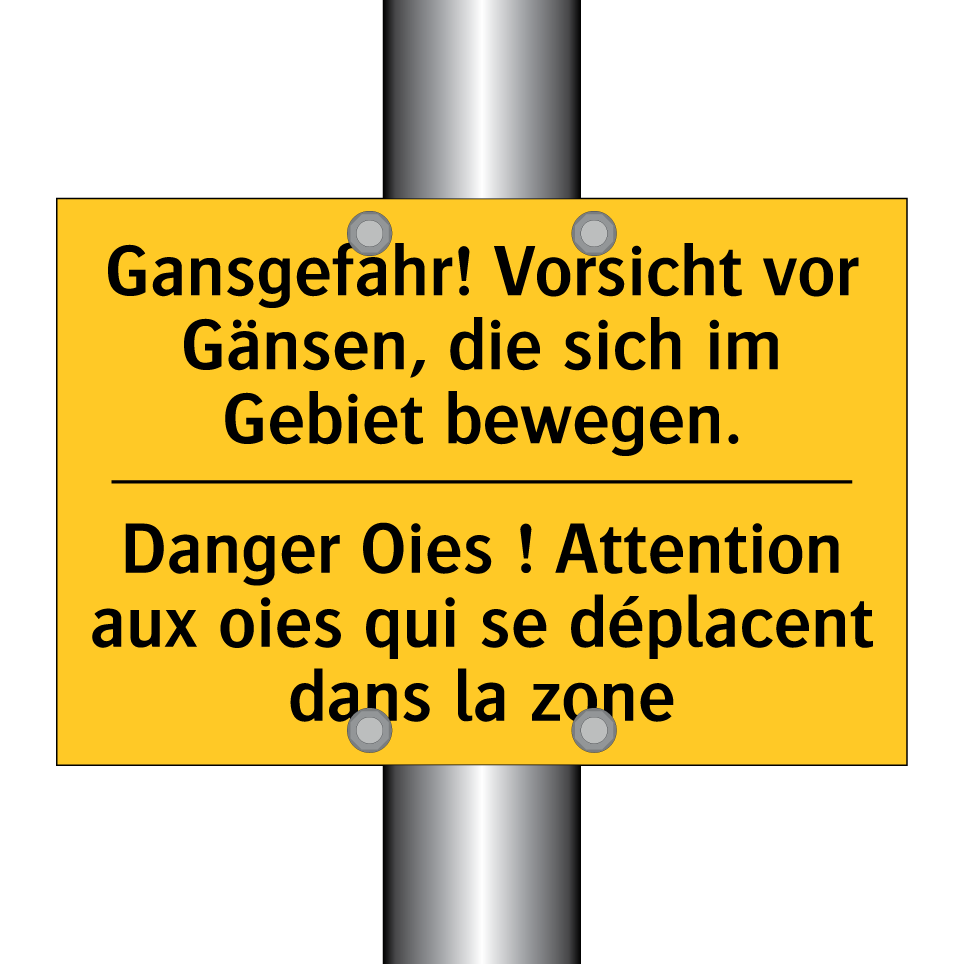 Gansgefahr! Vorsicht vor Gänsen, /.../ - Danger Oies ! Attention aux oies /.../