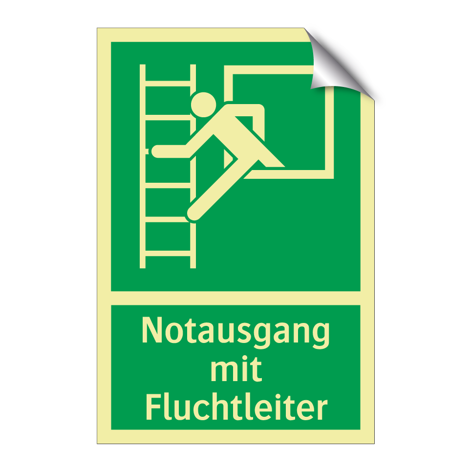 Notausgang mit Fluchtleiter