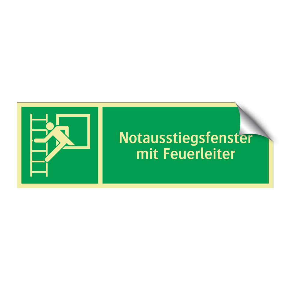 Notausstiegsfenster mit Feuerleiter