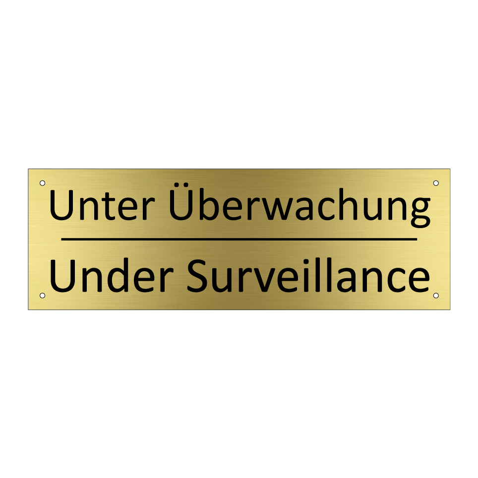 Unter Überwachung - Under Surveillance