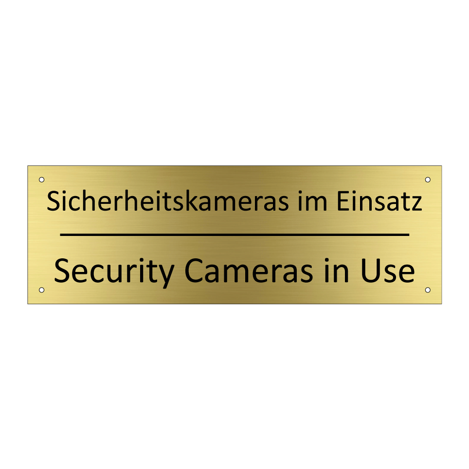 Sicherheitskameras im Einsatz - Security Cameras in Use
