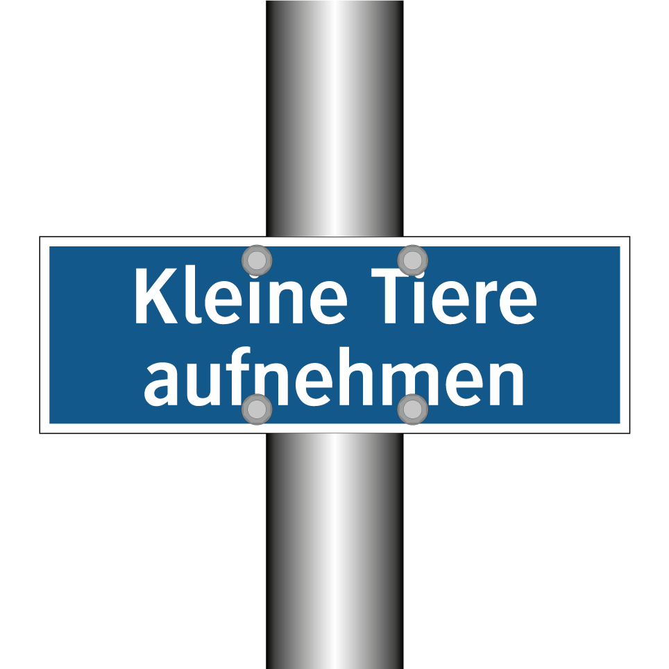Kleine Tiere aufnehmen