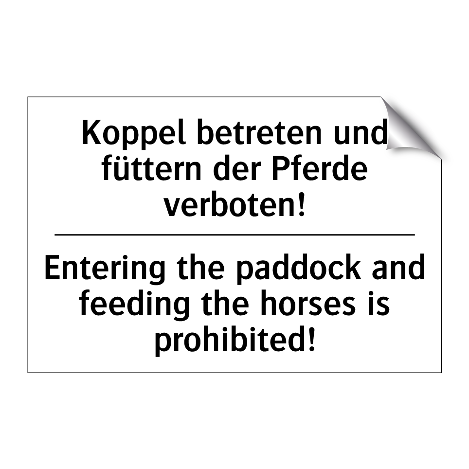 Koppel betreten und füttern der /.../ - Entering the paddock and feeding /.../