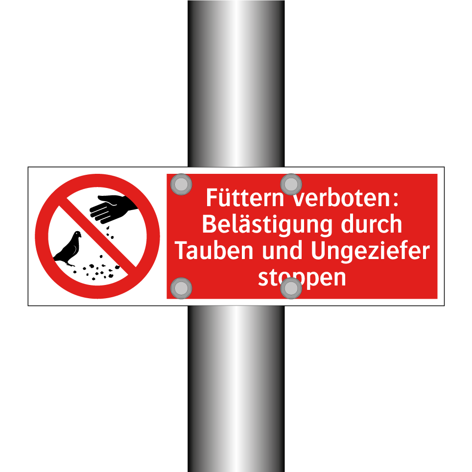 Füttern verboten: Belästigung durch Tauben und Ungeziefer stoppen