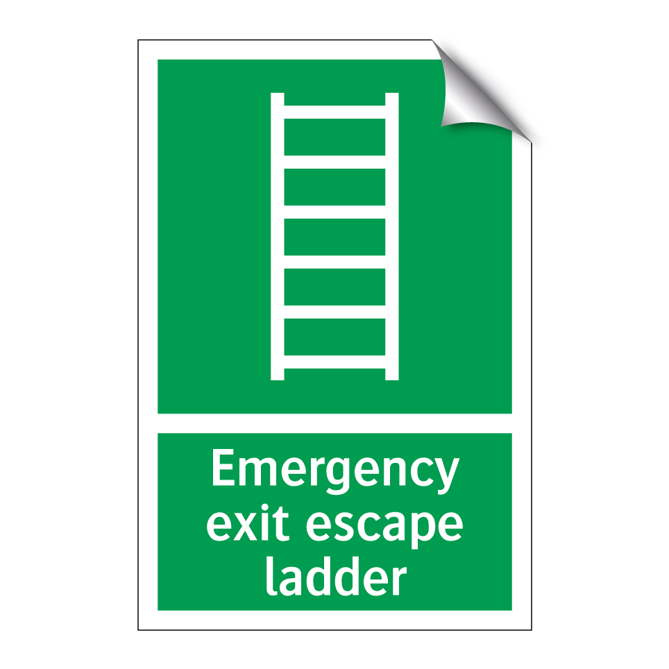 Emergency exit escape ladder