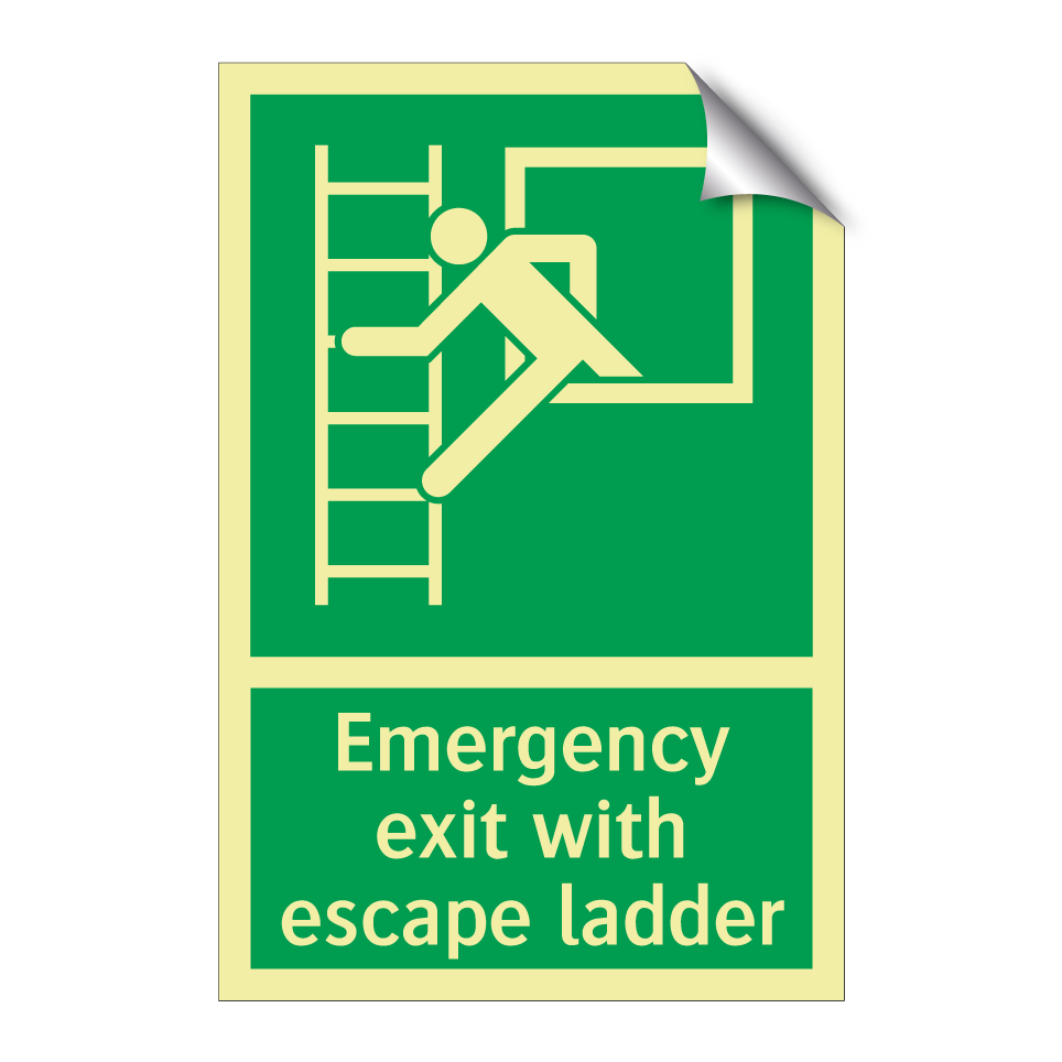 Emergency exit with escape ladder