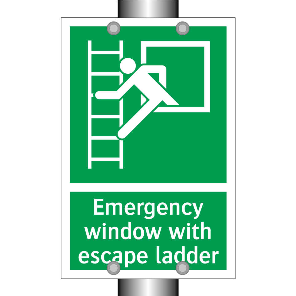 Emergency window with escape ladder