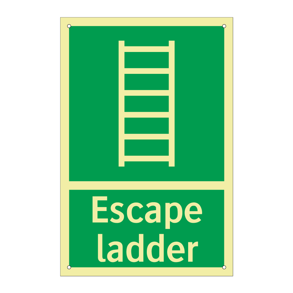 Escape ladder