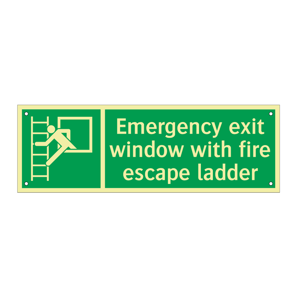 Emergency exit window with fire escape ladder