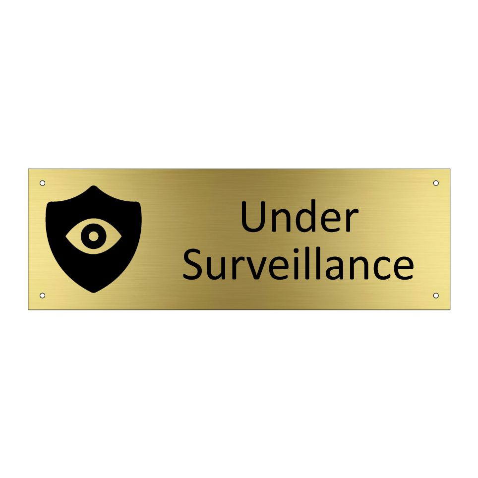 Under Surveillance