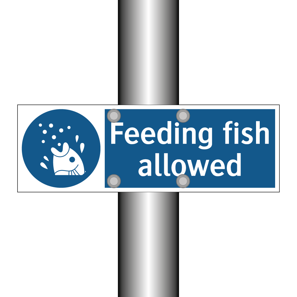 Feeding fish allowed