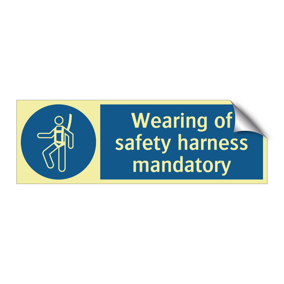 Wearing of safety harness mandatory