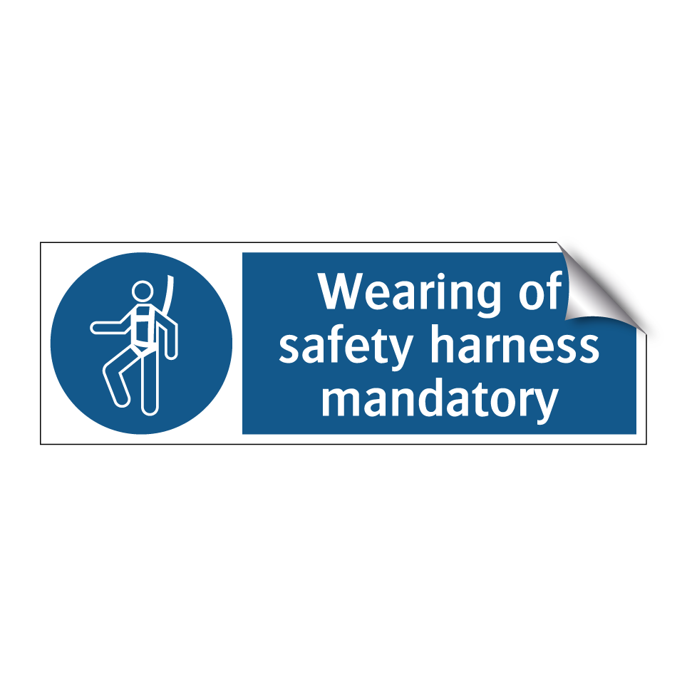 Wearing of safety harness mandatory