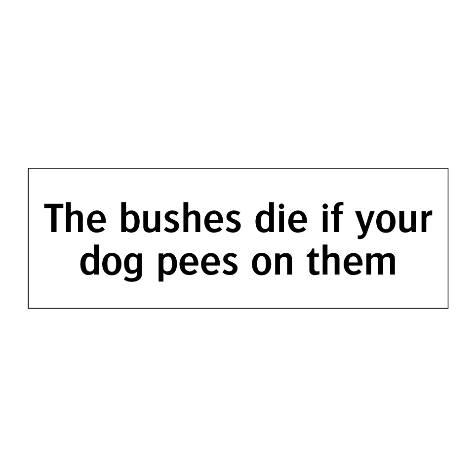 The bushes die if your dog pees on them
