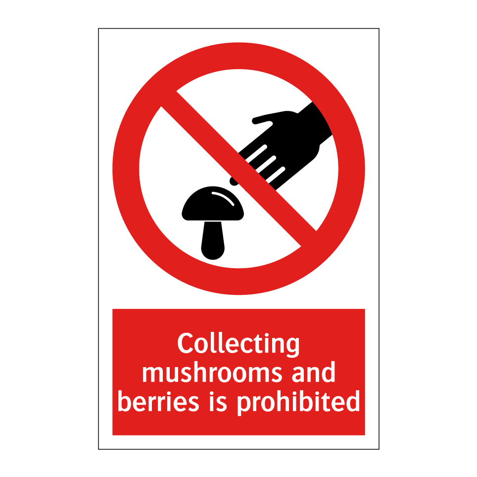 Collecting mushrooms and berries is prohibited