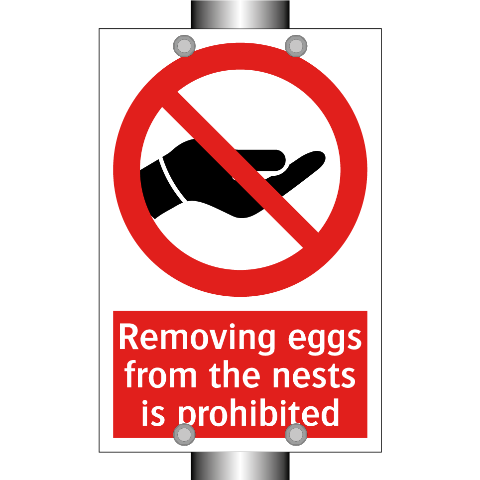 Removing eggs from the nests is prohibited