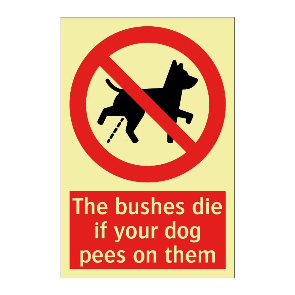 The bushes die if your dog pees on them