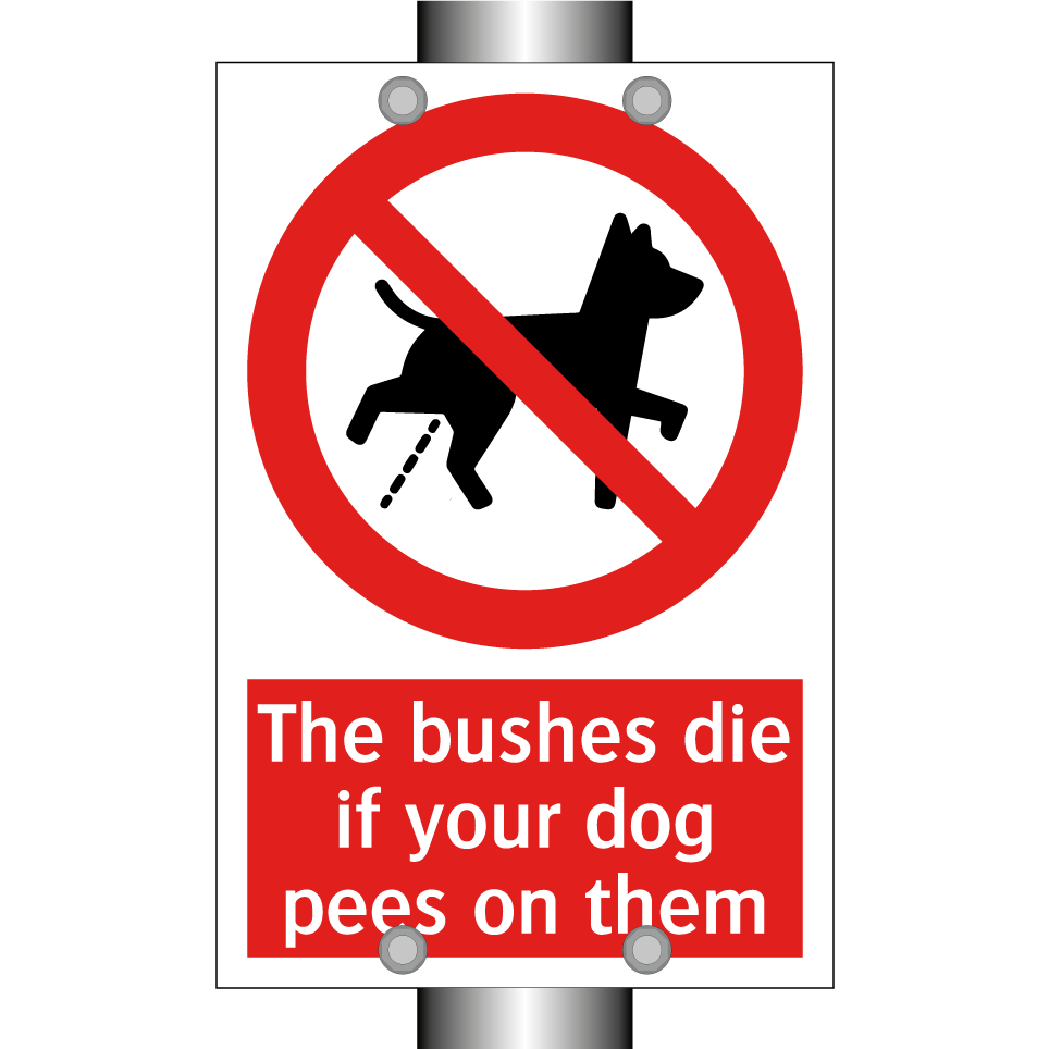 The bushes die if your dog pees on them