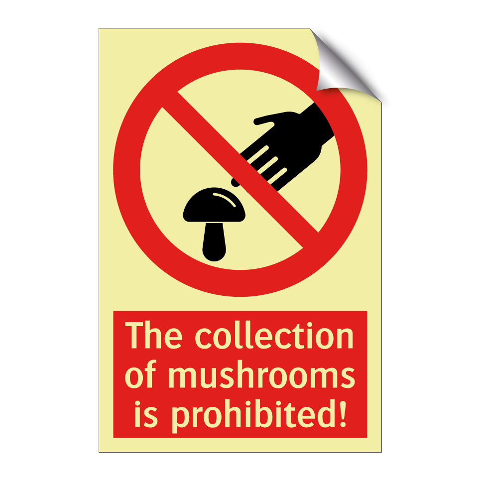 The collection of mushrooms is prohibited!