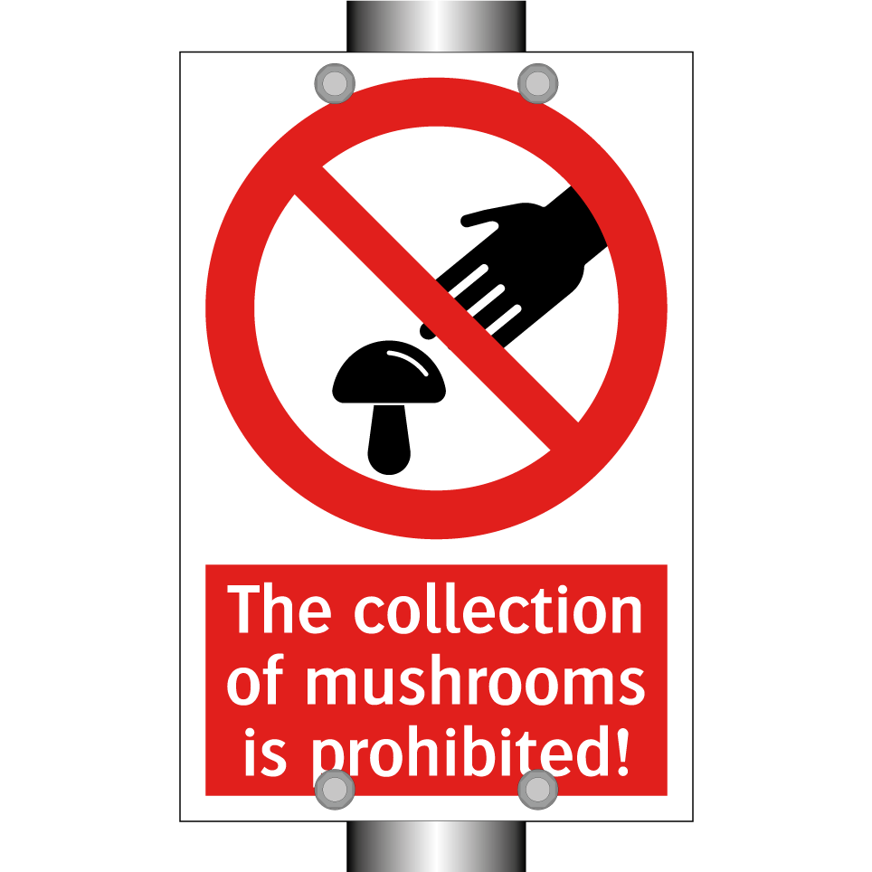 The collection of mushrooms is prohibited!