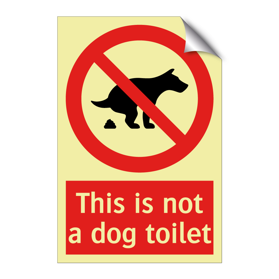 This is not a dog toilet